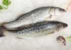 鱼类营养 常吃三类鱼产品补肝益肾