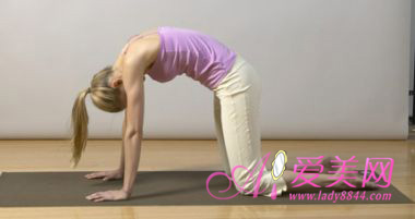 健身瑜伽动作 白领精英们减轻背痛的法宝(2)