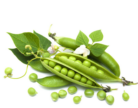 豌豆营养 常吃延年益寿