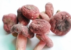 红菇营养 吃红菇可以治腰痛