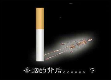 戒烟的方法 戒烟秘籍 (3)