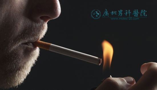 吸烟的危害 远离香烟，健康生活(4)
