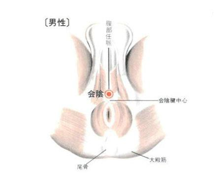 男性生育能力差 刺激这穴位增强生育能力