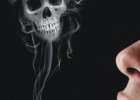 抽烟的男人吃什么排肺毒