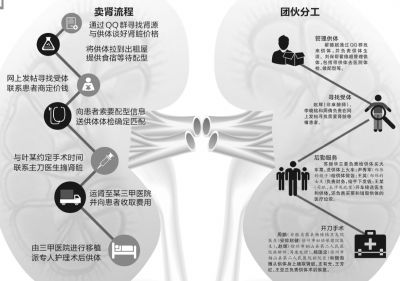 全国最大非法贩肾案15人贩肾51枚 卖肾流程图及地点细节曝光