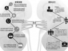 全国最大非法贩肾案15人贩肾51枚 卖肾流程图及地点细节曝光