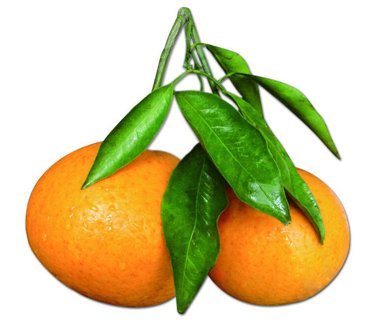 空腹吃橘子可以吗？空腹吃橘子好不好？(2)