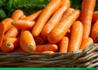 胡萝卜的功效 胡萝卜怎么吃最有营养？[多图]