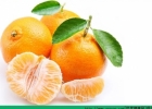 橘子的功效与作用 竟然能够防癌！[多图]