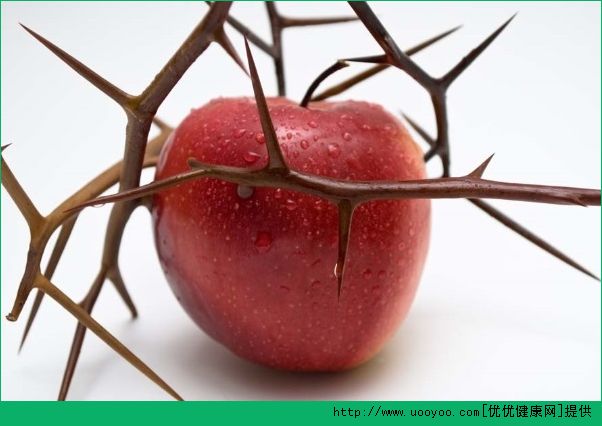 苹果新功效 可促进脂肪燃烧和肌肉增长(3)