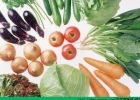 多吃应季食物 适合冬季的5种蔬菜[多图]