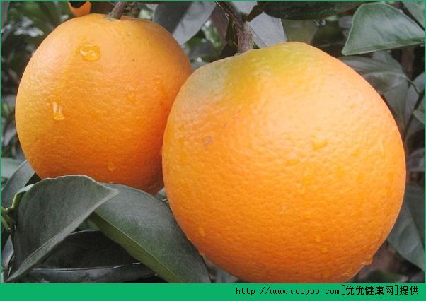 橙子是酸性还是碱性？橙子是碱性食物吗？(5)
