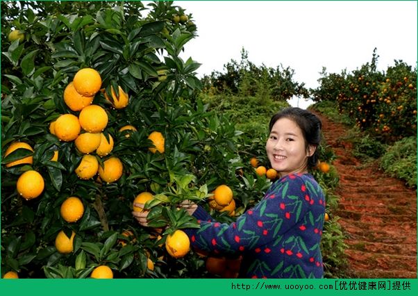 橙子和橘子有什么区别？橙子和橘子的营养区别介绍(4)