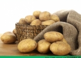 土豆的营养价值及功效 土豆怎么吃最有营养？[多图]