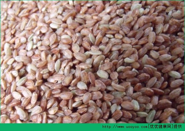 粳米和大米有什么区别？粳米和大米有什么功效与作用(5)