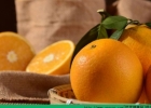 橙子是热性还是凉性？橙子属于寒性水果[多图]
