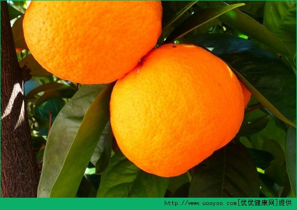 吃橙子有什么好处？橙子的功效与作用介绍(2)
