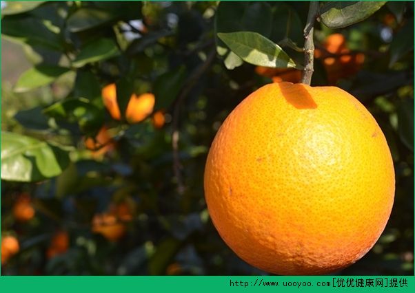 橙子和柚子能一起吃吗？橙子和柚子能一起榨汁吗？(5)