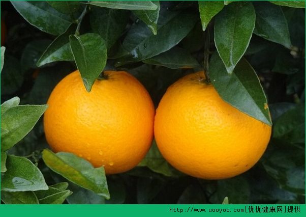 橙子和苹果哪个好？橙子和苹果哪个糖分高？(5)