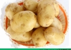 日常养生须知 土豆的八种功效[多图]