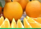 橙子和苹果哪个好？橙子和苹果哪个糖分高？[多图]