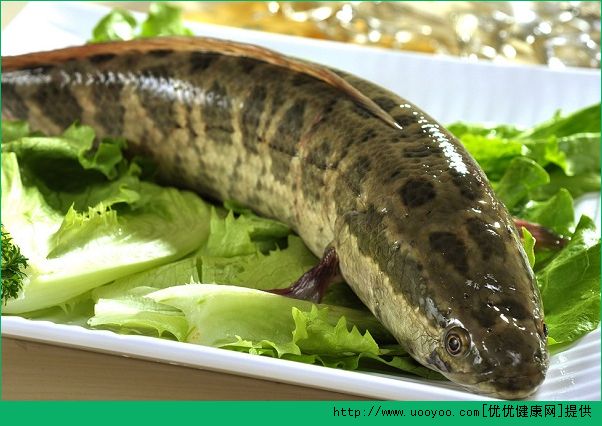 肺炎能吃鱼吗？肺炎吃鱼有什么影响？(9)