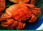 肺炎能吃螃蟹吗？肺炎吃螃蟹有什么影响？[多图]