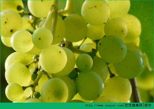 肺炎能吃葡萄吗？肺炎吃葡萄有什么效果？(3)