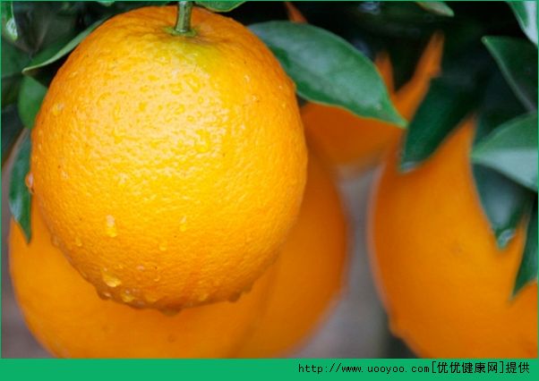 橙子和苹果能一起榨汁吗？橙子和苹果能一起吃吗？(1)