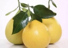 柚子水果常识 体弱人群吃柚子防疾病防癌