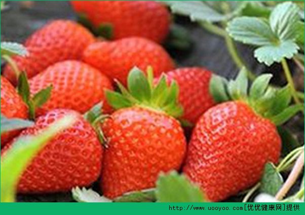 吃草莓有什么好处？草莓的功效与作用介绍(6)