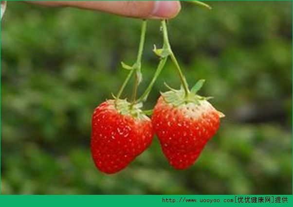 吃草莓有什么好处？草莓的功效与作用介绍(7)