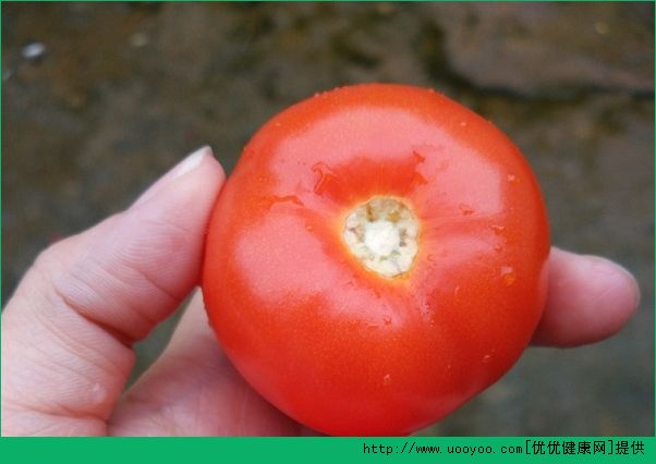 常吃番茄有什么好处？吃番茄有哪些好处？(4)