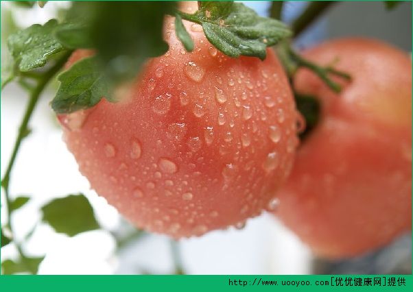 吃番茄有助预防糖尿病？吃番茄对糖尿病有什么好处？(1)