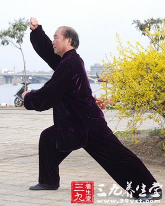 28式太极拳：右打虎式