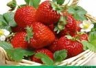 草莓含有什么维生素？草莓维生素C含量高吗？[多图]