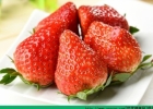 草莓孕妇能吃吗？孕妇吃草莓对胎儿有什么好处？[多图]