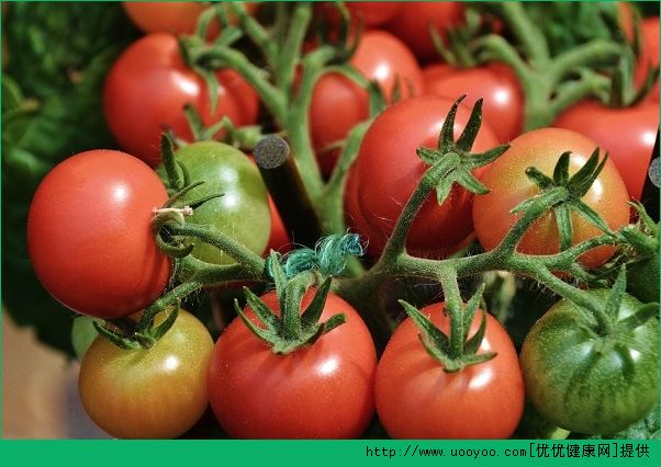 番茄和西红柿有什么区别？番茄和西红柿一样吗？(3)