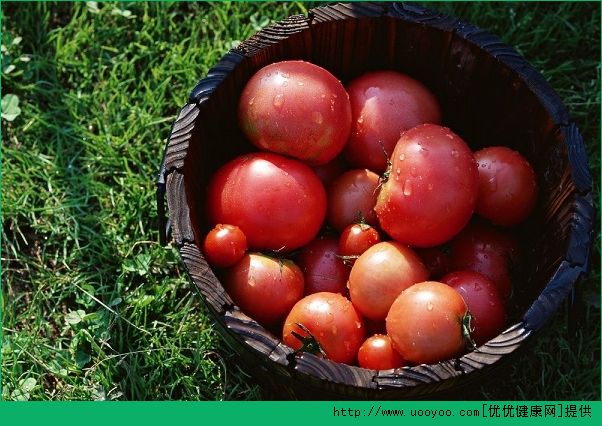 番茄和西红柿有什么区别？番茄和西红柿一样吗？(1)