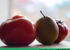 梨和西红柿能一起吃吗？梨和西红柿一起吃好不好？[多图]