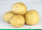 吃土豆能降血糖吗？土豆对血糖有什么影响？[多图]