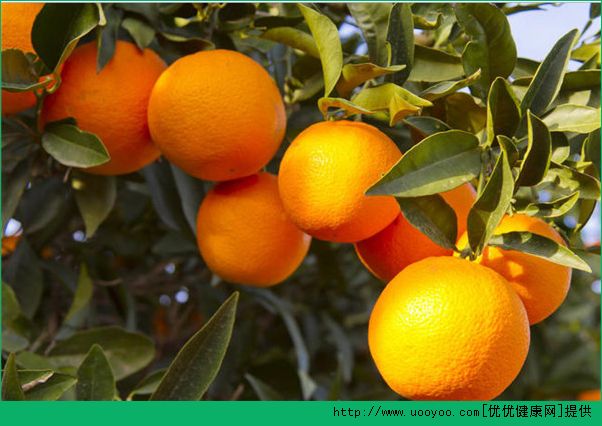 多吃橘子有什么好处？吃橘子对胃有好处吗？(2)