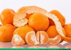 多吃橘子有什么好处？吃橘子对胃有好处吗？[多图]