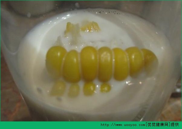 玉米和牛奶能一起吃吗？牛奶和玉米同食好吗？(5)