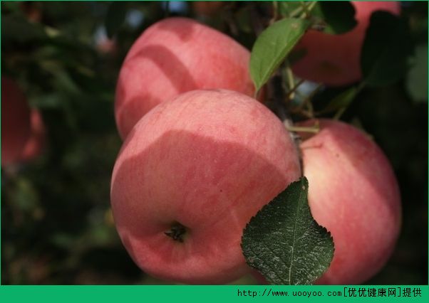 晚餐只吃苹果减肥吗？晚饭吃苹果减肥有效吗？(3)