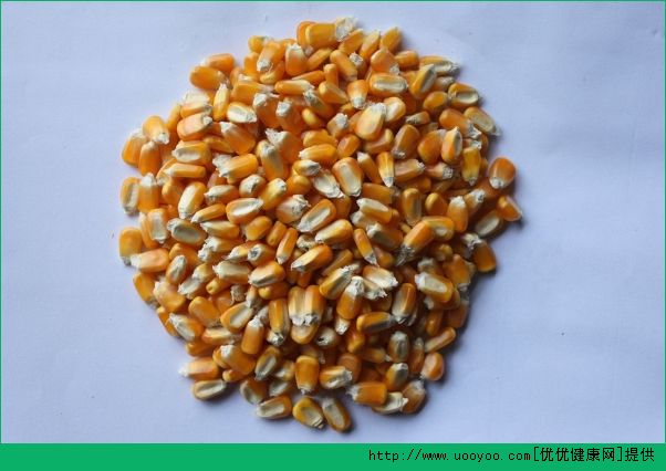 玉米和虾可以一起吃吗？虾和玉米可以一起吃会好不好？(3)