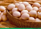 鸡蛋怎么吃最营养？鸡蛋怎么吃营养价值最高[多图]