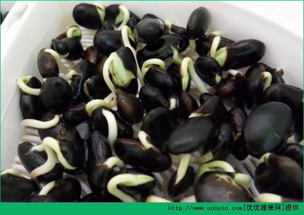 黑豆芽吃了有什么好吃？黑豆芽的功效和作用(2)