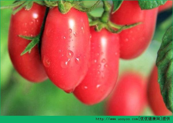 圣女果的功效和作用有哪些？小番茄的功效有哪些？(1)