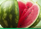 夏天坐月子能吃西瓜吗？哺乳期能吃西瓜吗？[多图]